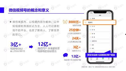 爆料网红裙子视频下载,揭秘时尚潮流背后的秘密  第3张 爆料网红裙子视频下载,揭秘时尚潮流背后的秘密  第3张